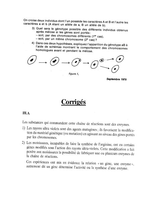 SOLUTION Examens Corrig S La G N Tique Les Mutations Studypool