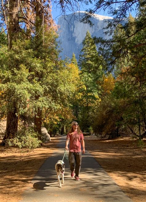 Exploring the Trails of Yosemite & the Southern Yosemite Region