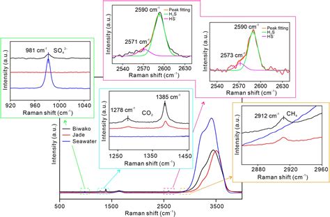 Direct H2s Hs− And Ph Measurements Of High‐temperature Hydrothermal Vent Fluids With In Situ