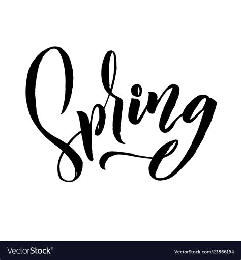 Spring Trendy Script Lettering Design Spring Vector Image