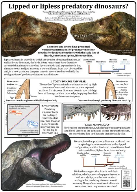 Deadly Teeth Of T Rex Were Hidden Behind Scaly Lips Shattering