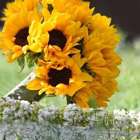 A Bouquet Of Sunflowers Sitting In The Grass