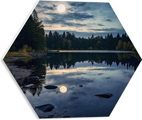 Pvc Schuimplaat Hexagon Maan Bomen Bos Meer 40x34 8 Cm Foto Op Hexagon Met Bol