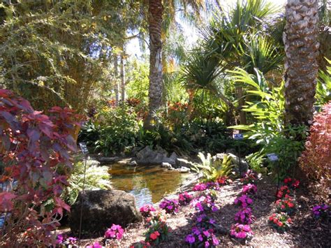 Pinellas County Florida Botanical Gardens - Largo Florida