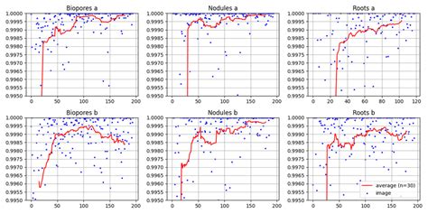 Segmentation Metrics Including Dice Score A And Accuracy B For Each