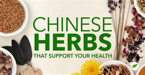 13 Traditional Chinese Herbs To Support Your Health