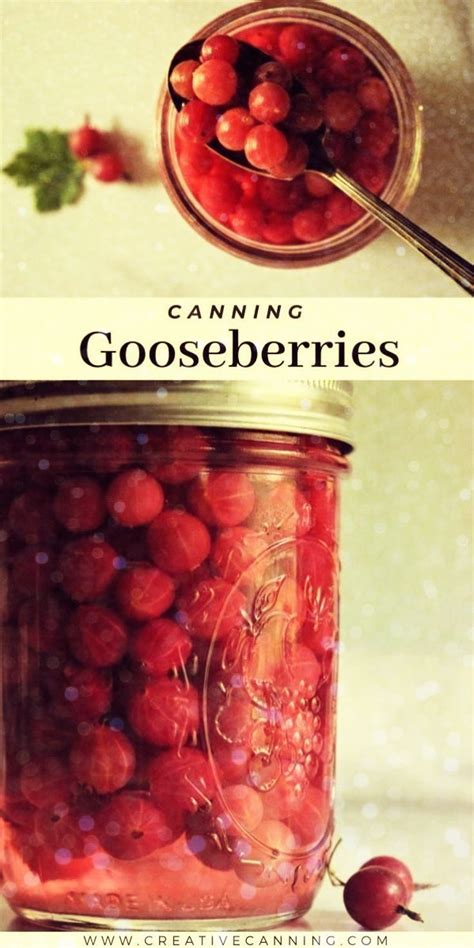 Canning Gooseberries Recipe Gooseberry Recipes Canning Fruit Recipes Canning Recipes