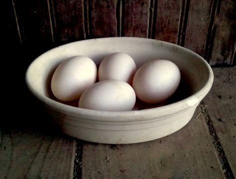 January 2012 Fresh Eggs Daily®
