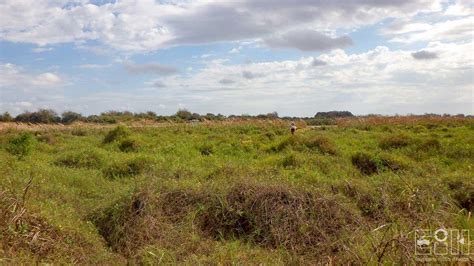 Biological Monitoring Of The Tres Palacios River And Upper Tres