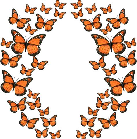 Amazon Taupphoo 72 PCS Monarch Butterfly Decoration 3 Size Fake