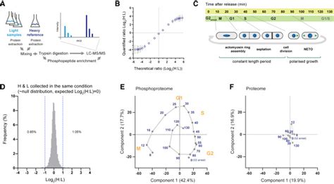 Quantitative Phosphoproteomics Reveals The Signaling Dynamics Of Cell