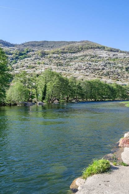 Premium Photo Cherry Blossoms In The Jerte Valley Spain