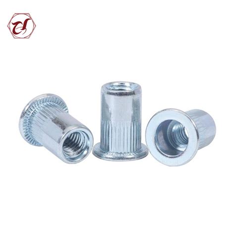 Customized Carbon Steel Galvanized Flat Head Knurled Body Close End