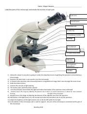 Label The Parts Of The Microscope Updated 2018 For Lecture 1 Docx