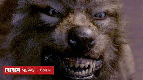 Werewolf Found In Nigeria Mysterious Beast Enta Nigeria Kill Four