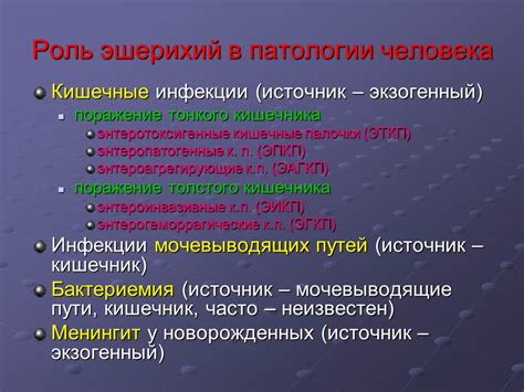 Кишечная палочка — симптомы и лечение, диагностика эшерихиоза, кишечная ...
