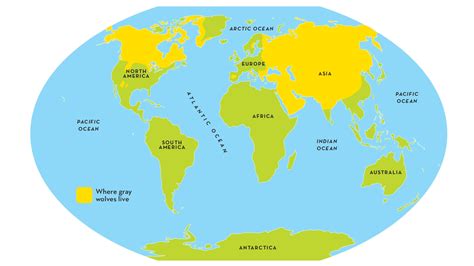 Mexican Grey Wolf Map