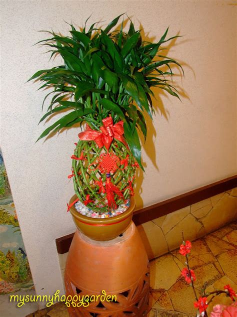 My Sunny Happy Garden Cny Decoration Tips For Plants And Flowers