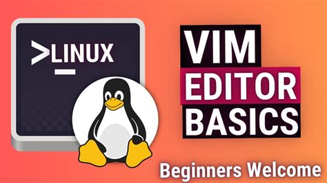 Vim Text Editor Basics Using Vim On Linux Mac Unix Beginners