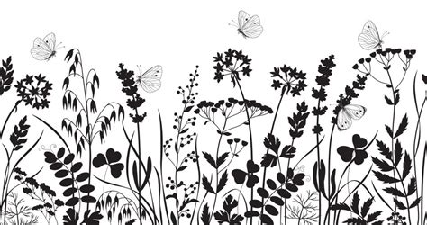 Flower Border Black and White Vector Images (over 83,000)