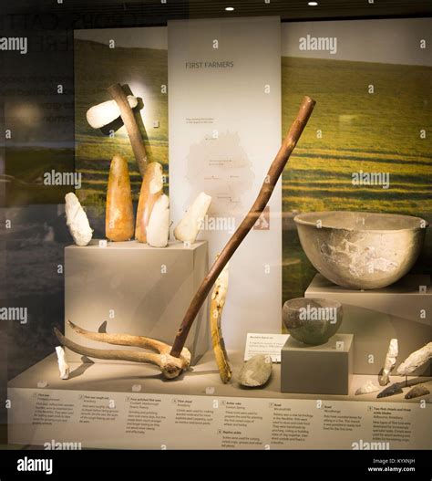 Neolithic Farming Tools