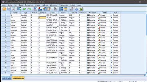 Entorno De Spss Y Como Importar Un Una Base De Datos Youtube