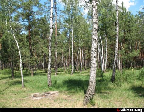 Bykivnia Forest - Kyiv