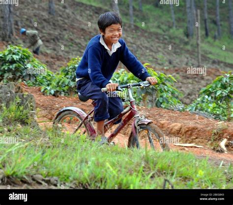 Helping conserve biodiversity in Vietnam Stock Photo - Alamy