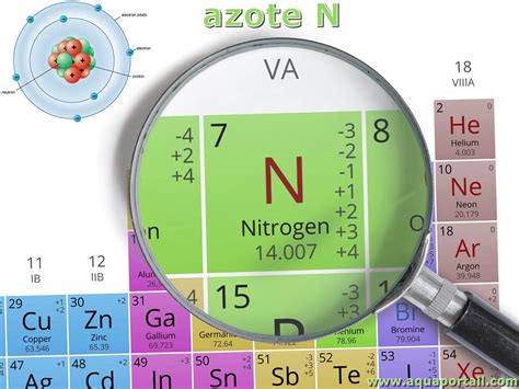 Azotémie définition et explications