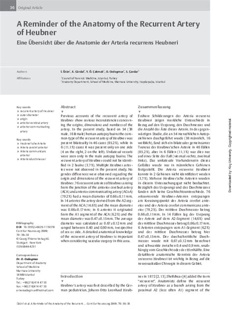 (PDF) A reminder of the anatomy of the recurrent artery of heubner