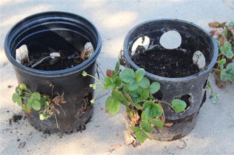 Diy Strawberry Tower With Reservoir Apiece Of Rainbow