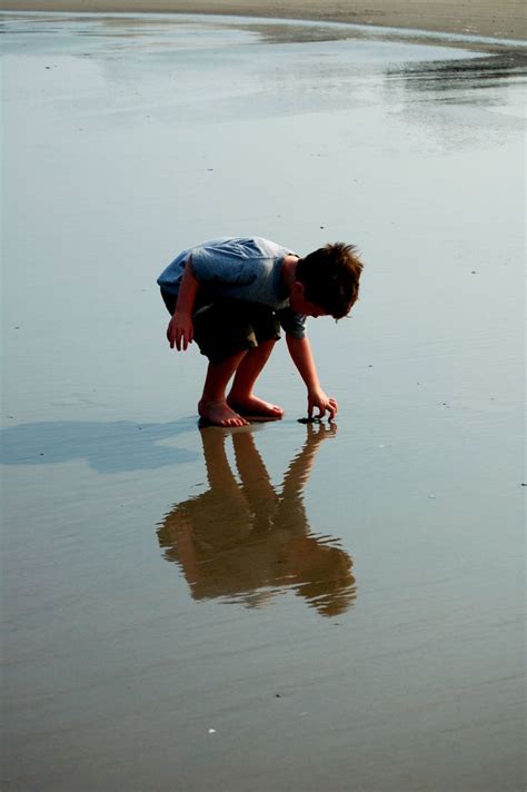 Summer | Flickr