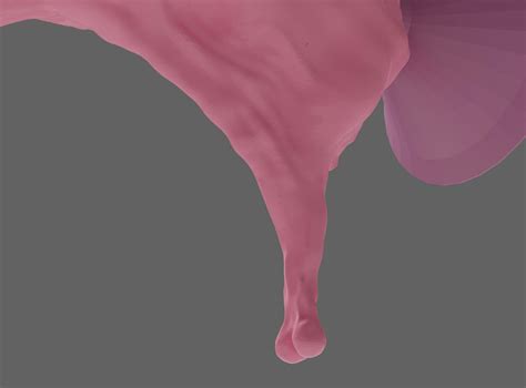 Long Dildo With Small Balls And Pussy D Model By Japanzanuda