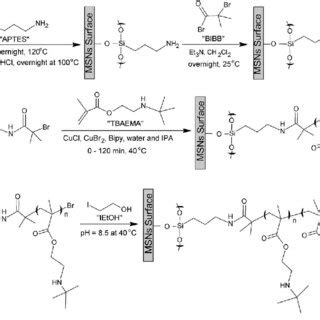 Scheme A Schematic Representation Of The Formation Of An