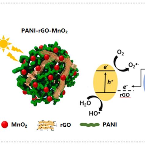 Application Schematic Illustration Of The Ternary Pani Rgo Mno2