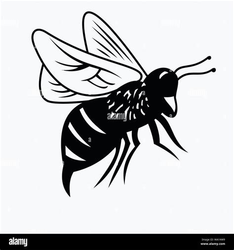 Vector De Dibujos Animados De Abeja Im Genes De Stock En Blanco Y Negro