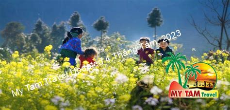 Điểm Tham Quan Du Lịch - My Tam Travel