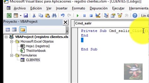 CREAR FORMULARIO PARA INGRESO DE DATOS CON VISUAL BASIC EN EL