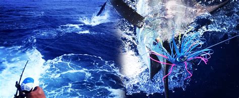 Big Island Deep Sea Fishing Tours Hawaii Discount