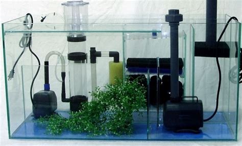 Filtro Biologico Acquario Accessori Per Acquario Come Posizionare