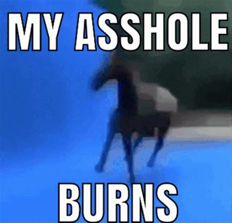 My Asshole Burns My Asshole Burns Discover Share Gifs