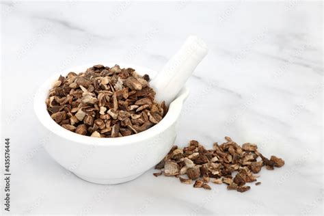 Burdock Root Herb Used In Herbal Medicine To Treat Psoriasis Acne