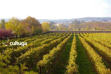 Visita a Quinta da Aveleda o berço do vinho Casal Garcia Cultuga