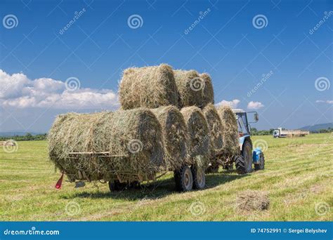 Tractor Collecting Straw Bales Stock Image Image Of Wheat Farm 74752991