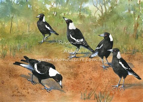 Magpies — Rhondas Art