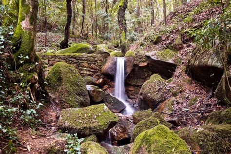 Tour Por Sintra E Seu Parque Natural De 4x4 Civitatis