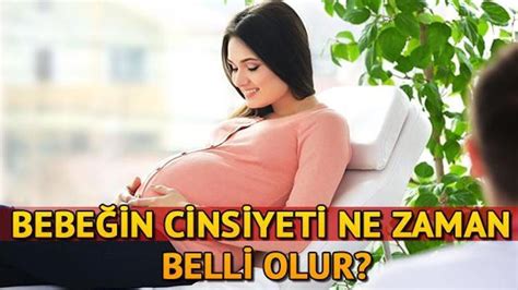 Bebe In Cinsiyeti Ne Zaman Belli Olur