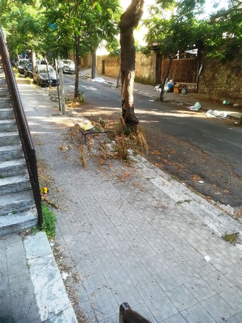 Reggio Calabria degrado ed incuria in via Fiume e via Saccà FOTO