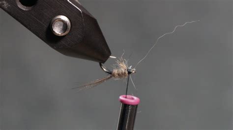 Freshwater Shrimp Scud With Video Missouri Trout Fishermans