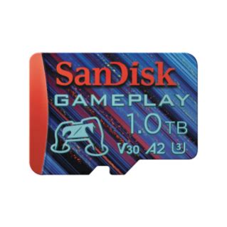 256GB SanDisk GamePlay microSD™ Card for Mobile and Handheld Console ...